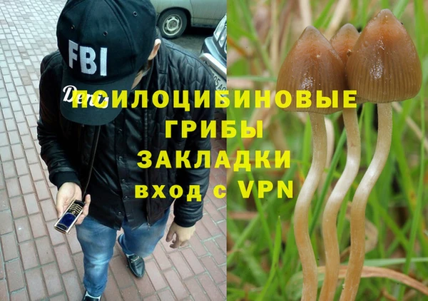 гидропоника Алзамай