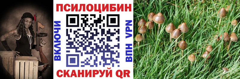 цена   Кропоткин  гидра зеркало  Галлюциногенные грибы ЛСД 